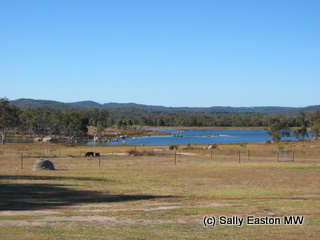 View from the winery