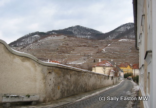 Terraced vineyards