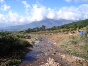 Rivers flow again at Boschendal