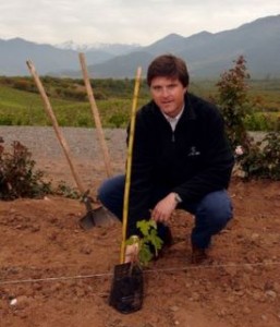 Mario Pablo Silva planting carmenère