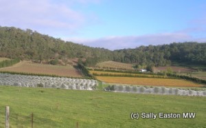 East coast Tasmania