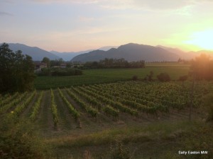 Sunrise in Franciacorta