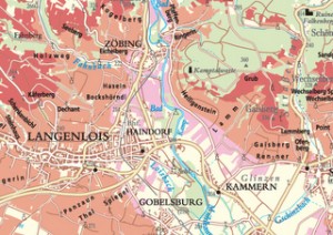 Detail of Kamptal vineyards