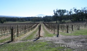 Macedon Ranges