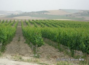 Masseria del Feudo