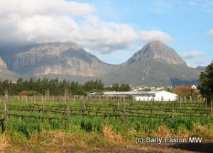 Cape Winelands