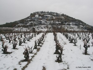 Corbières, pretty in rare snow (Jan 2010)