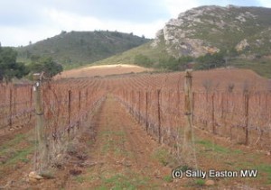 More Corbières-Boutenac 