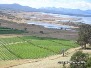 Coombend Vineyard