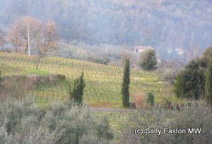 Tuscan hills