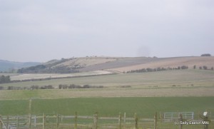 Wintry Meonhill Vineyard