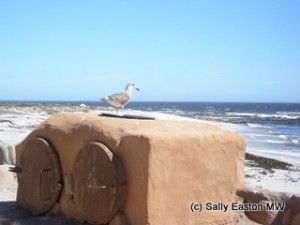 Lambert's Bay, Atlantic Coast