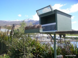 Falcon box at Peregrine