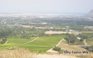 Steenberg to False Bay