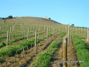 Quinta do Roeda