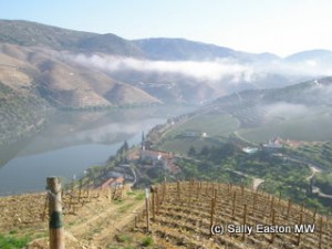 View from top of Vinha Grande