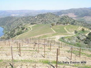 Quinta do Vale Meão, Douro Superior 