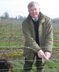 Simon Bladon talks vine training
