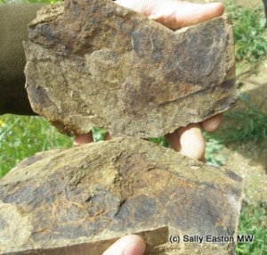 Priorat schist in the hands of Alvaro Palacios