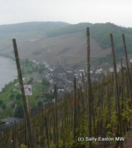 Vineyards above Ürzig