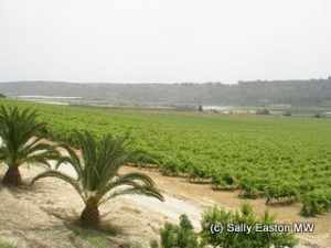 Valle dell'Acate