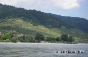 Steep Wachau slopes