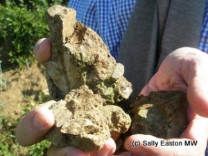 Willi Bründlmayer holding primary rock