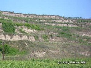 Loess terraces