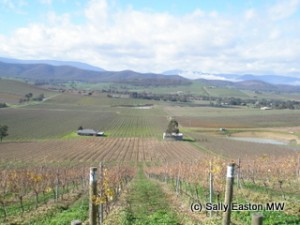 De Bortoli, Yarra Valley