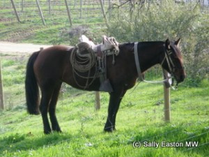 Vineyard worker?