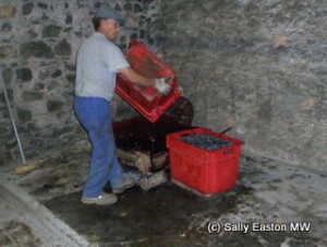 Filling vats for carbonic maceration