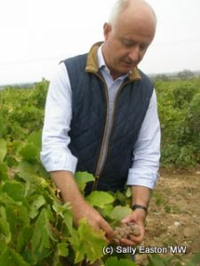 Eric Fabre in bourboulenc vineyard