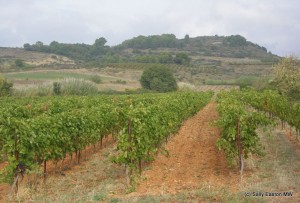 Picturesque Languedoc