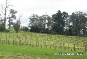 Lower Yarra Valley