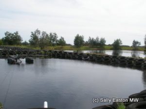 Elgo Estate water treatment lagoons