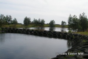 Liquid waste treatment lagoons at Elgo, Strathbogie