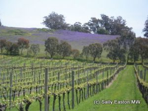 Australia's Strathbogie Ranges looking pretty