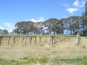 Orange region, New South Wales