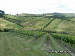 Waiheke Island