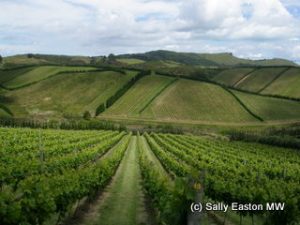 New Zealand's green and pleasant land