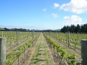 Martinborough