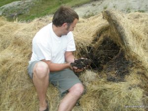  Loving a pile of compost