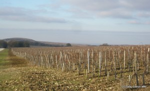 Château le Grand Vostock 