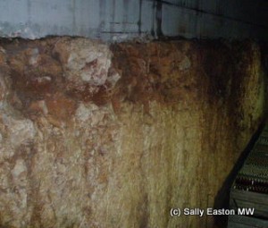 Cellar at Polvanera showing red soil and limestone