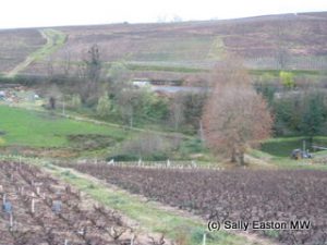 Picturesque Beaujolais