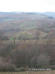 Rolling Beaujolais hills