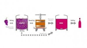 Semi-carbonic maceration