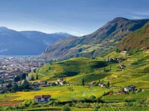 Santa Maddalena, overlooking Bolzano