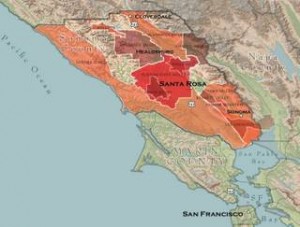 Sonoma County Wine Regions