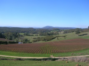 North Tasmania